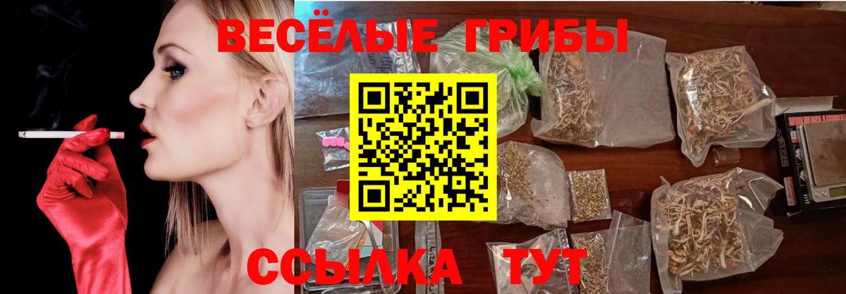 Сафоново  Галлюциногенные грибы Magic Shrooms  Вход с VPN  Галлюциногенные грибы мухоморы 